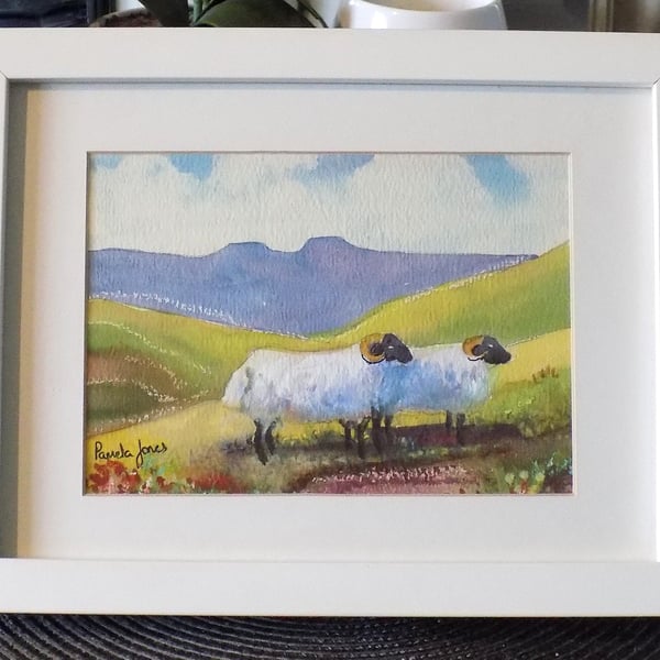 Sheep Brecon Beacons, Wales, Original watercolour in 9.5 x 7.5'' Frame