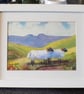 Sheep Brecon Beacons, Wales, Original watercolour in 9.5 x 7.5'' Frame