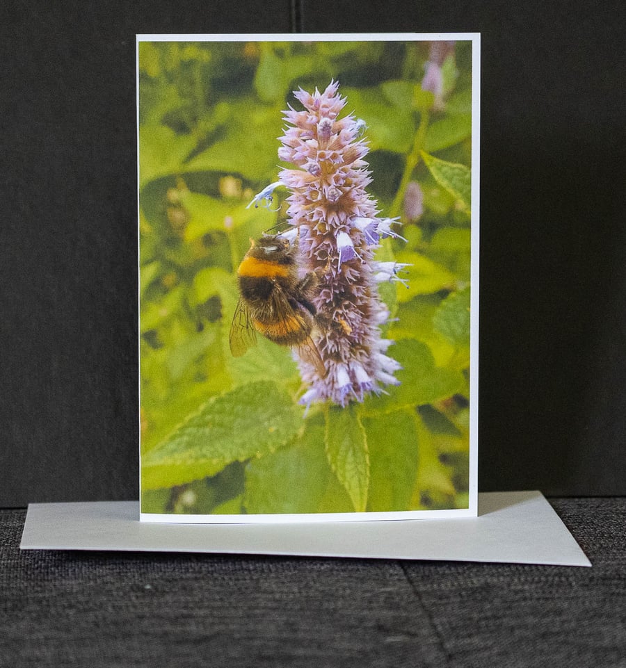 Bee on Flowering Mint Blank Greetings Cards
