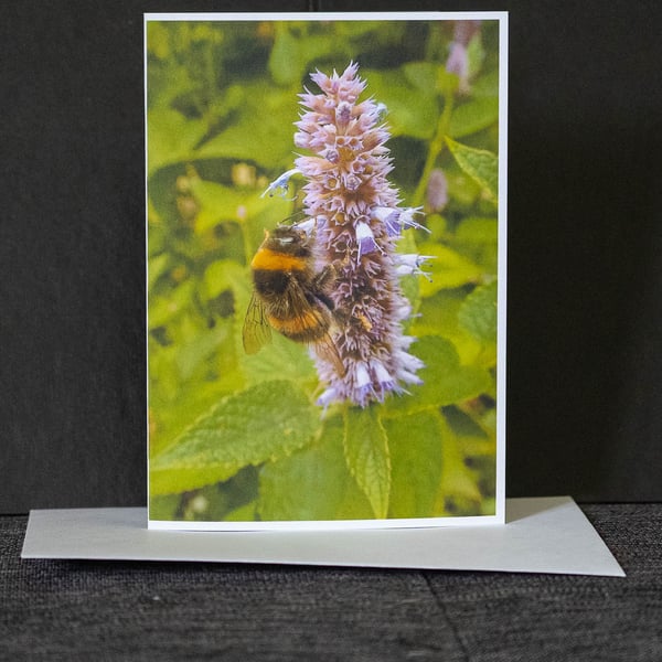 Bee on Flowering Mint Blank Greetings Cards