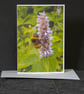 Bee on Flowering Mint Blank Greetings Cards - Image 1