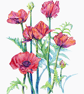 Red Poppy Original Flower Watercolour Painting Contemporary Botanical Art - Image 1