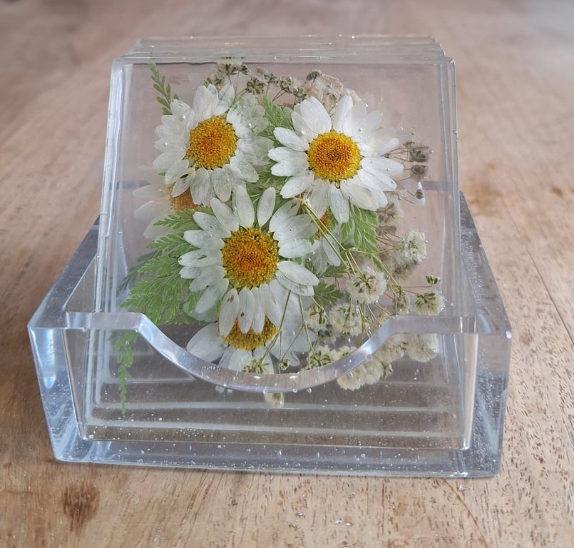 Coasters Set of 4  in holder