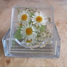 Coasters Set of 4  in holder