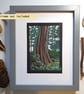 Trunk of a Wellingtonia Tree, Isle of Arran, Scotland.  Landscape art - Image 2