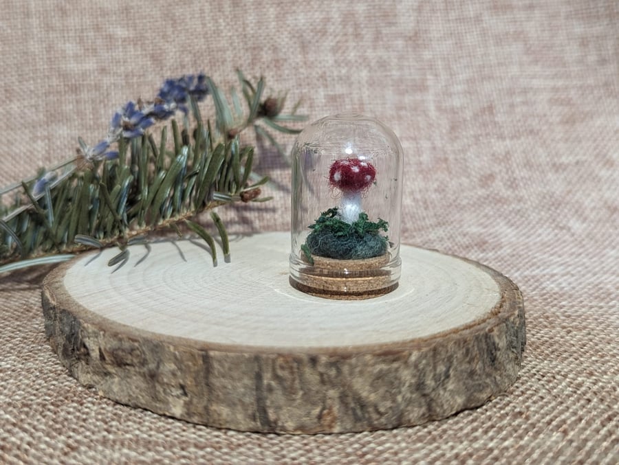 Miniature Needle felt Toadstool in Glass Cloche (Red or Purple)