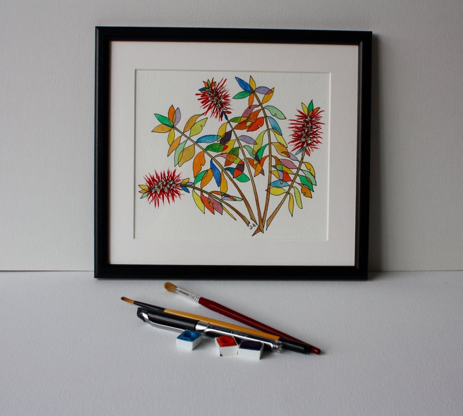 BOTTLEBRUSH PEN AND WATER-COLOUR SKETCH FRAMED IN BLACK