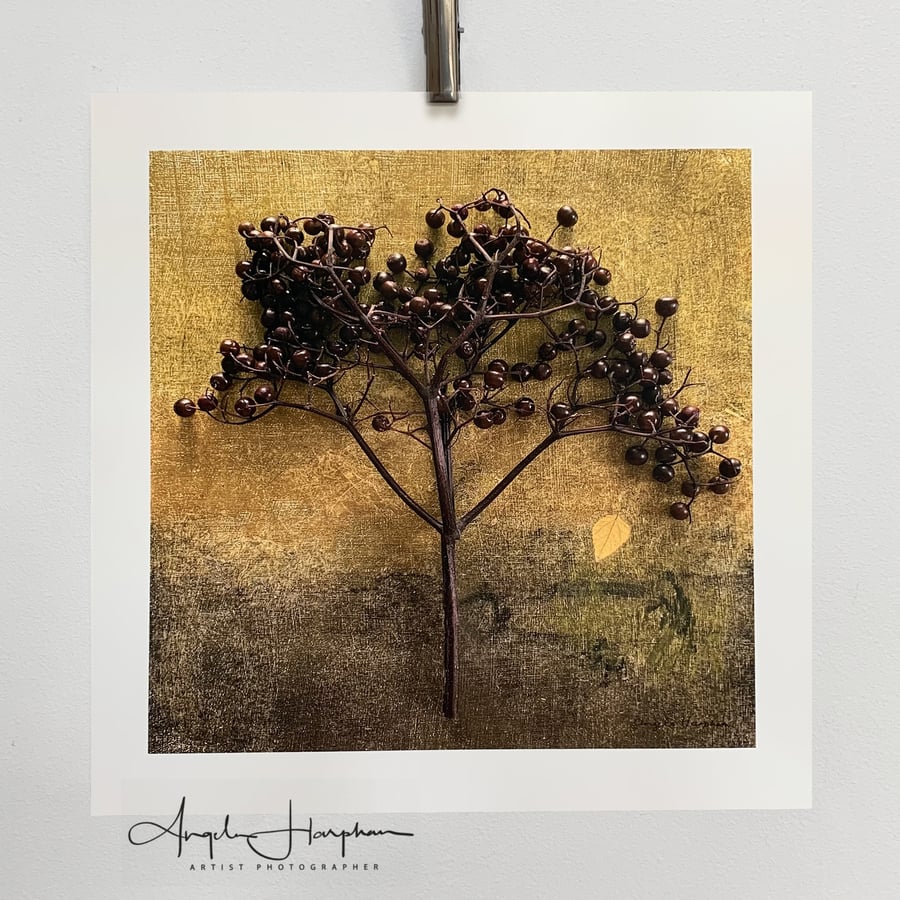 Digital Print of Original Acrylic Painting with 'Elderberry Tree' Gold