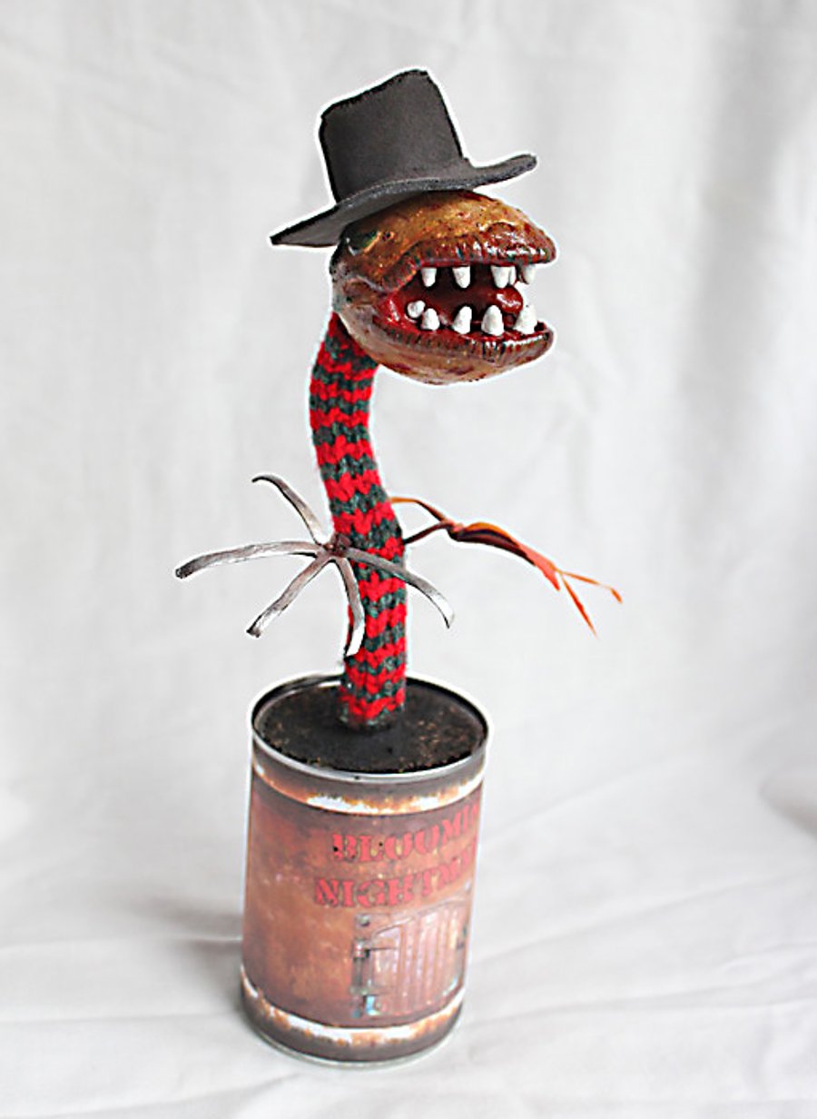 Freddy Plant