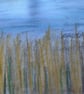 Lincolnshire fields - Image 3