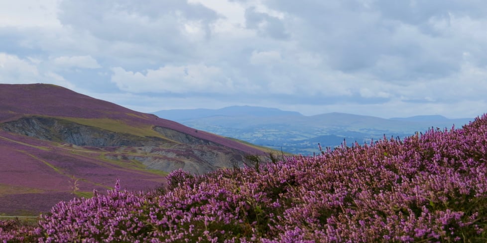 Welsh Hills Jewellery