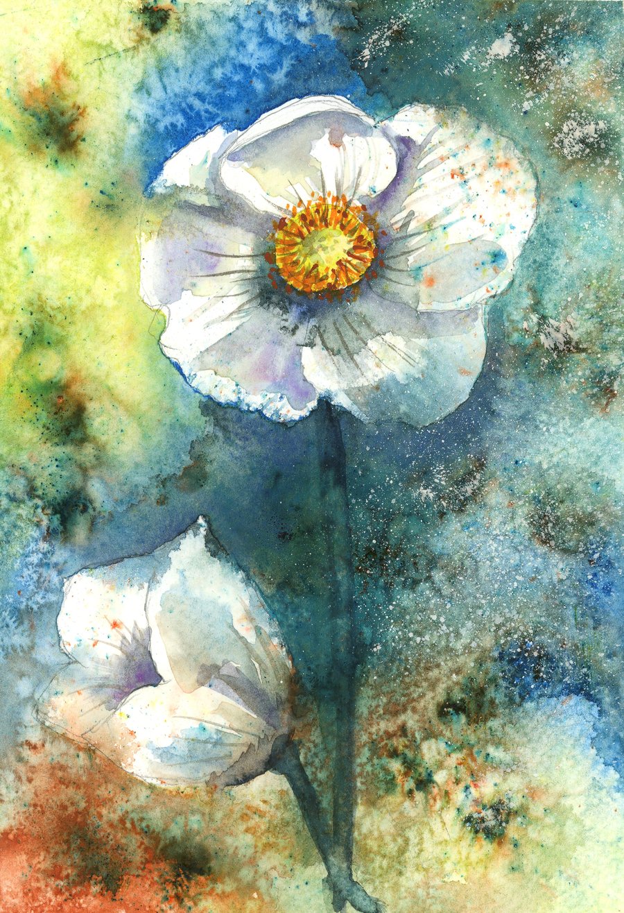 Japanese Anenome - quality print. Free P and P