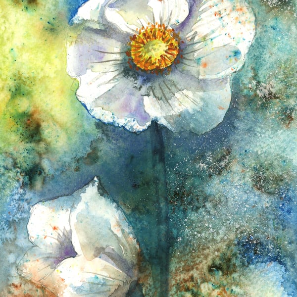 Japanese Anenome - quality print. Free P and P