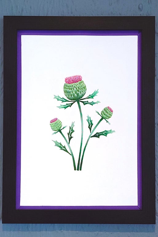 Genuine Made in UK Framed A3 Print Scottish Thistles Stylish Purple Border