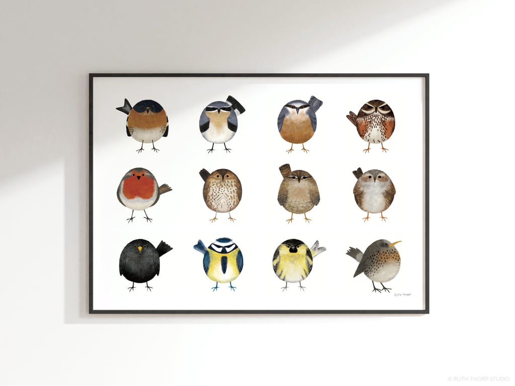 Garden Birds Poster: A2 or A1 Landscape Print. 12 illustrated British birds