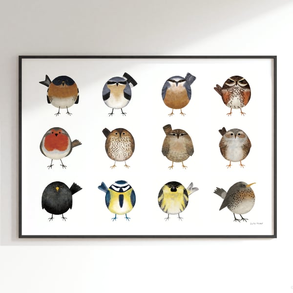 Garden Birds Poster: A2 or A1 Landscape Print. 12 illustrated British birds