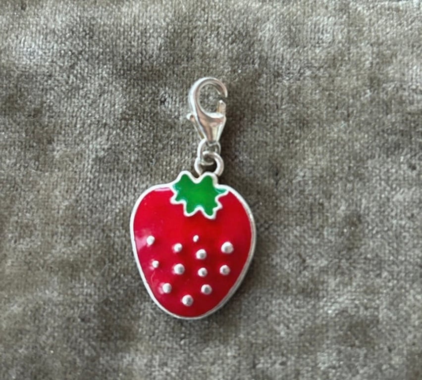 10 x Sterling silver enamel charms