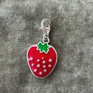 10 x Sterling silver enamel charms
