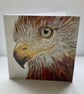 Red Kite  - Image 1