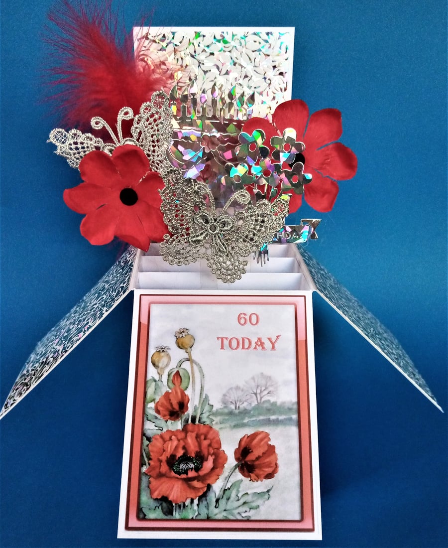 Ladies 60th Birthday Card with Poppies