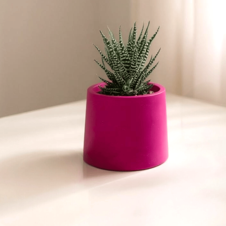 Small Magenta Plant Pot - 7.5 cm Vibrant Fuchsia Mini Succulent Pot
