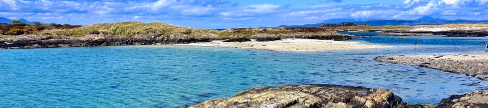 The Wandering Beachcombers