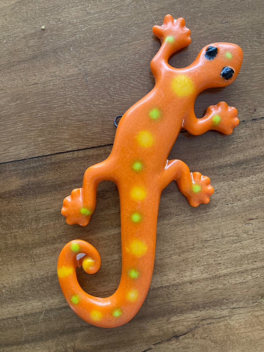 Gecko in orange