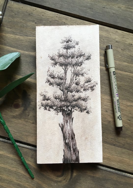 Tree ink drawing on panel