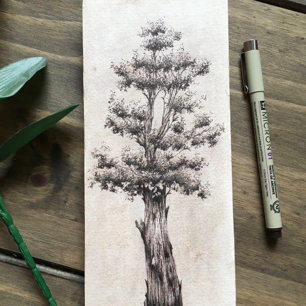 Tree ink drawing on panel