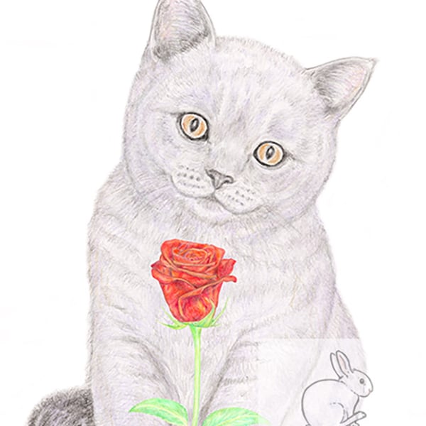 Gracie the Kitten -Valentine Card
