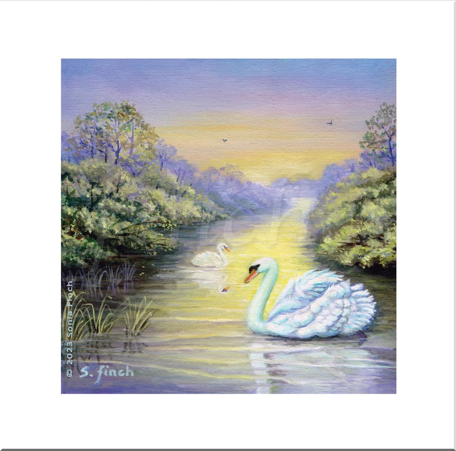 Spirit of Swan - Blank Greeting Card with nature spirit totem message