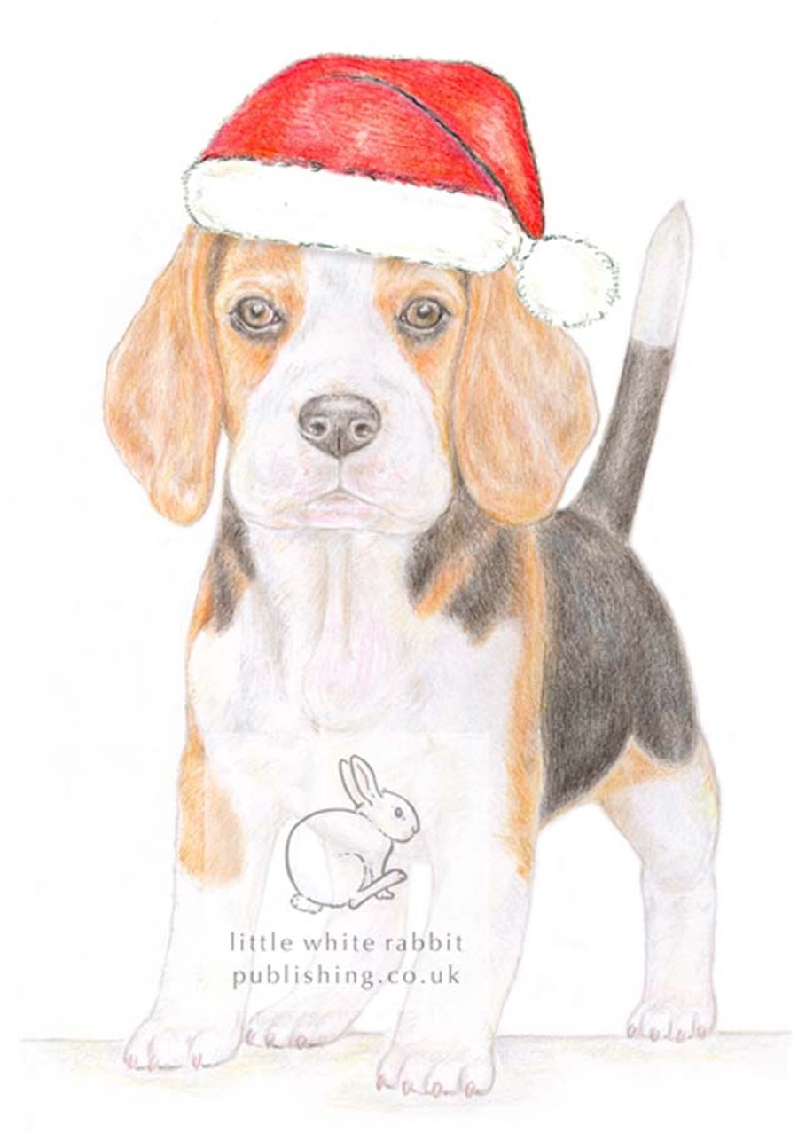 Betty the Beagle - Christmas Hat Card