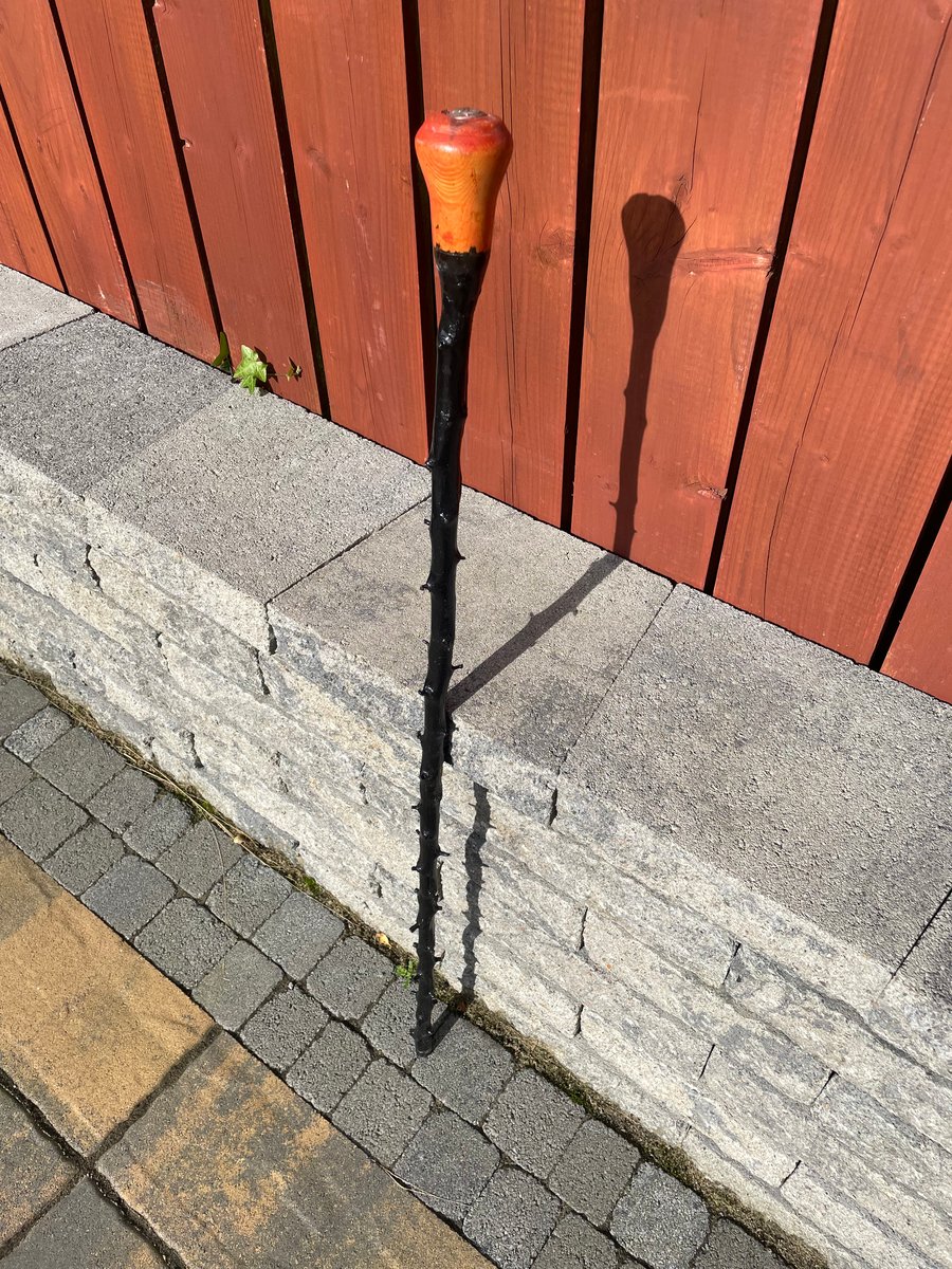Irish Traditional Blackthorn Walking Stick for ... - Folksy