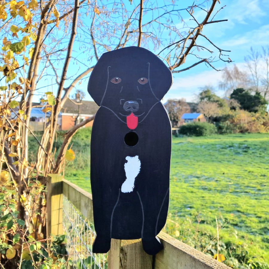 Labrador Dog Bird Box