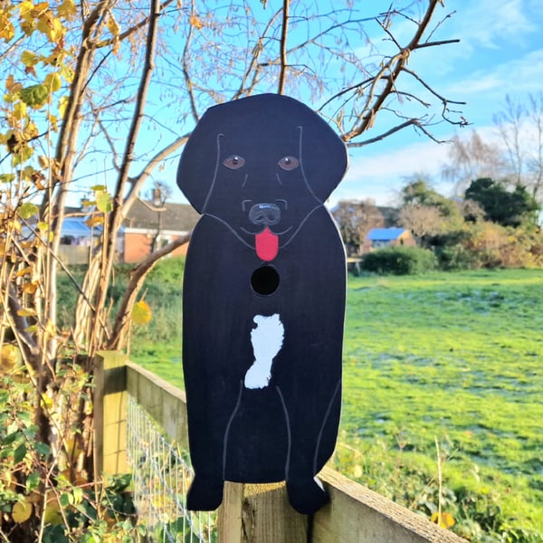 Labrador Dog Bird Box