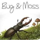 Bug & Moss
