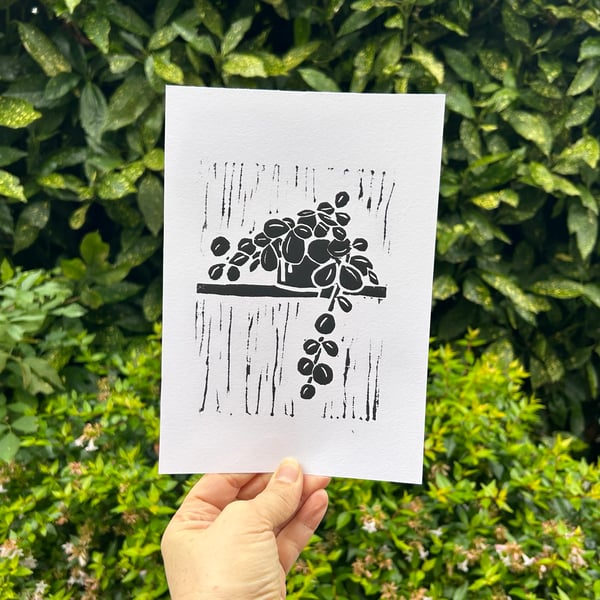  'Trailing Plant' A5 Original Lino Print 