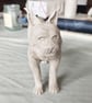 Lynx Ceramic Ornament - Hand Built - Image 10