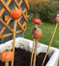  Cane Tops - Handmade for your Bamboo Sticks - Image 2