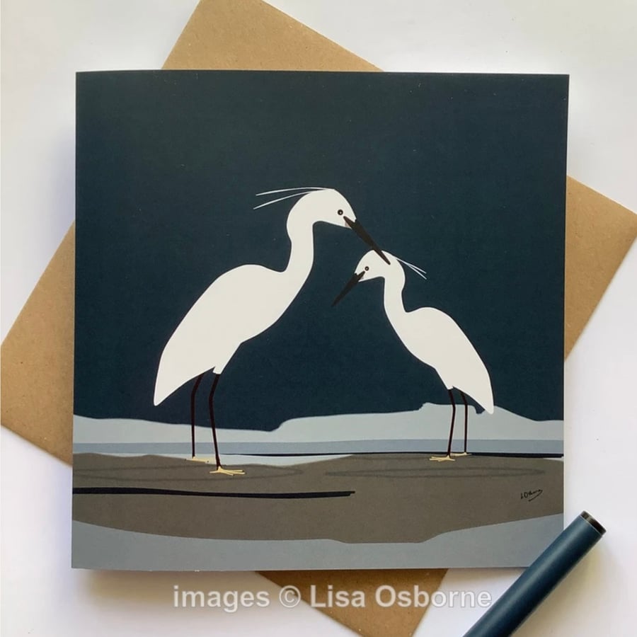 Little egrets greetings card of birds - blank for own message