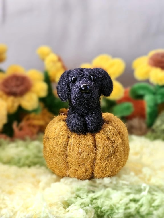 Custom needle felted dog in a pumpkin
