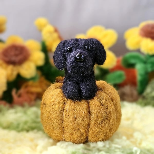 Custom needle felted dog in a pumpkin
