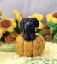 Custom needle felted dog in a pumpkin
