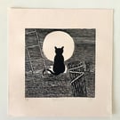 Ship's Cat