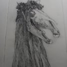 Mari Lwyd drypoint etching