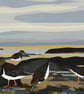 Turnstones - bird art print - coastal birds