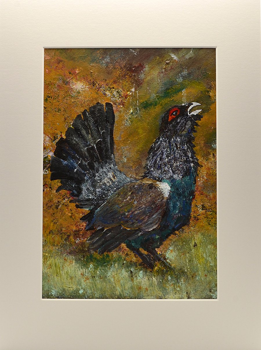 Original Painting of Capercaillie (16x12 inches)