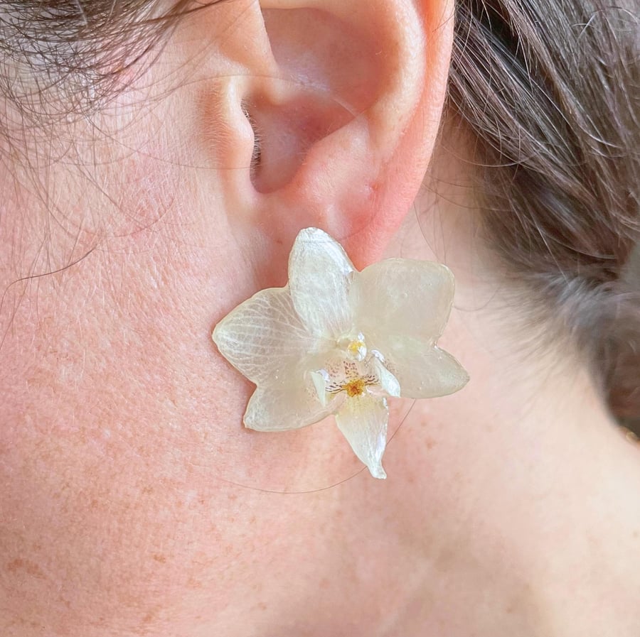 Real Mini White Orchid Flower Stud Earrings 