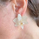 Real Mini White Orchid Flower Stud Earrings 