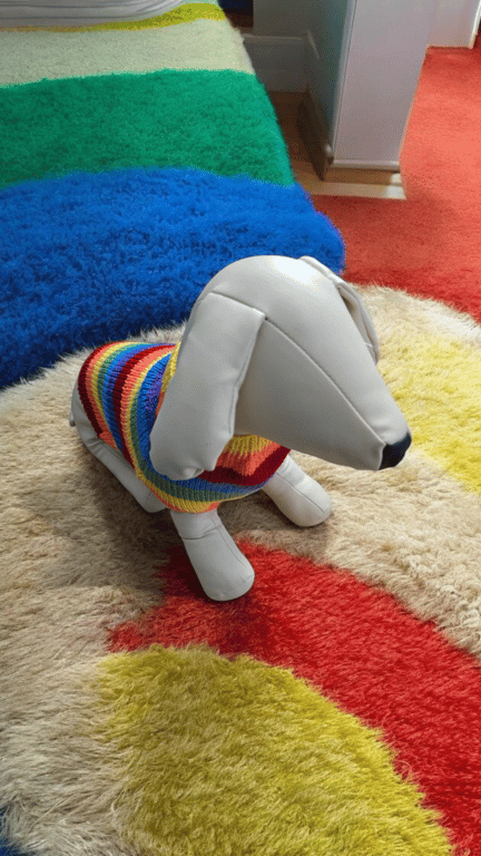 Handknitted rainbow dog coat